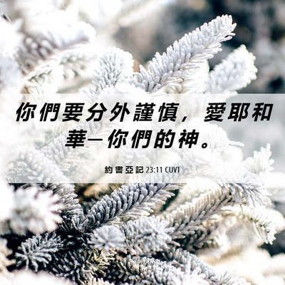 Picture 06 - 約 書 亞 記 23:11 CUVT - 你 們 要 分 外 謹 慎 ， 愛 耶 和 華 - Bible Verse Picture