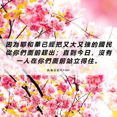 Picture 06 - 約 書 亞 記 23:9 CUVT - 因 為 耶 和 華 已 經 把 又 大 又 強 - Bible Verse Picture