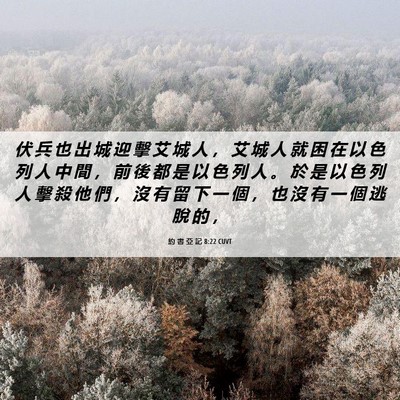 Picture 06 - 約 書 亞 記 8:22 CUVT - 伏 兵 也 出 城 迎 擊 艾 城 人 ， 艾 - Bible Verse Picture