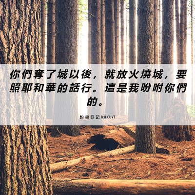 Picture 06 - 約 書 亞 記 8:8 CUVT - 你 們 奪 了 城 以 後 ， 就 放 火 燒 - Bible Verse Picture