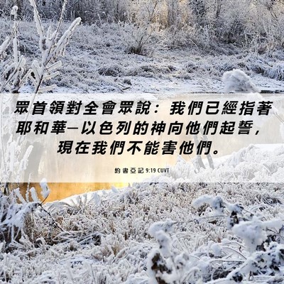 Picture 06 - 約 書 亞 記 9:19 CUVT - 眾 首 領 對 全 會 眾 說 ： 我 們 已 - Bible Verse Picture
