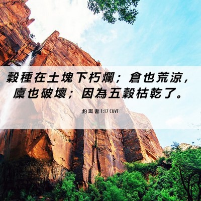 Picture 06 - 約 珥 書 1:17 CUVT - 穀 種 在 土 塊 下 朽 爛 ； 倉 也 荒 - Bible Verse Picture