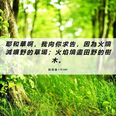Picture 06 - 約 珥 書 1:19 CUVT - 耶 和 華 啊 ， 我 向 你 求 告 ， 因 - Bible Verse Picture