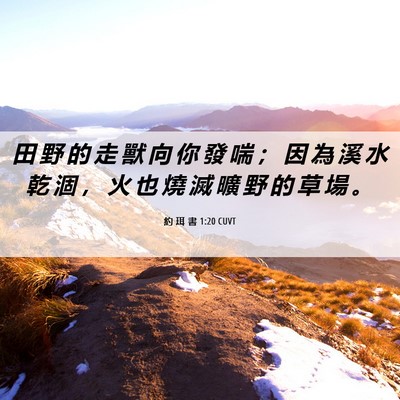 Picture 06 - 約 珥 書 1:20 CUVT - 田 野 的 走 獸 向 你 發 喘 ； 因 為 - Bible Verse Picture