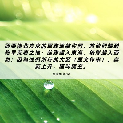 Picture 06 - 約 珥 書 2:20 CUVT - 卻 要 使 北 方 來 的 軍 隊 遠 離 你 - Bible Verse Picture