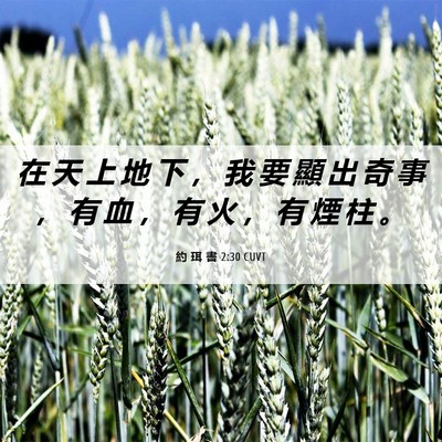Picture 06 - 約 珥 書 2:30 CUVT - 在 天 上 地 下 ， 我 要 顯 出 奇 事 - Bible Verse Picture