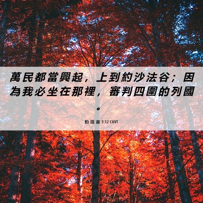Picture 06 - 約 珥 書 3:12 CUVT - 萬 民 都 當 興 起 ， 上 到 約 沙 法 - Bible Verse Picture