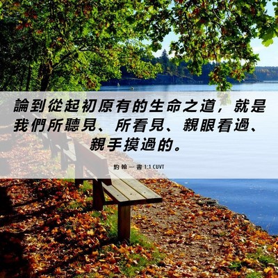 Picture 06 - 約 翰 一 書 1:1 CUVT - 論 到 從 起 初 原 有 的 生 命 之 道 - Bible Verse Picture