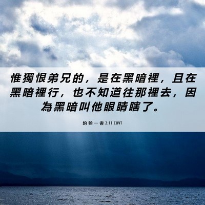 Picture 06 - 約 翰 一 書 2:11 CUVT - 惟 獨 恨 弟 兄 的 ， 是 在 黑 暗 裡 - Bible Verse Picture
