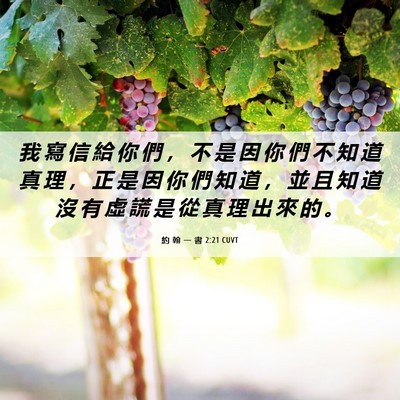 Picture 06 - 約 翰 一 書 2:21 CUVT - 我 寫 信 給 你 們 ， 不 是 因 你 們 - Bible Verse Picture