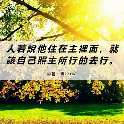 Picture 06 - 約 翰 一 書 2:6 CUVT - 人 若 說 他 住 在 主 裡 面 ， 就 該 - Bible Verse Picture