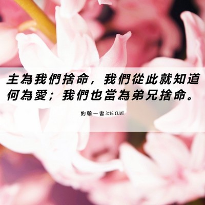 Picture 06 - 約 翰 一 書 3:16 CUVT - 主 為 我 們 捨 命 ， 我 們 從 此 就 - Bible Verse Picture