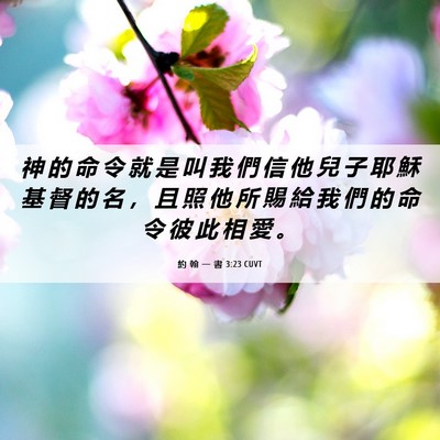 Picture 06 - 約 翰 一 書 3:23 CUVT - 神 的 命 令 就 是 叫 我 們 信 他 兒 - Bible Verse Picture