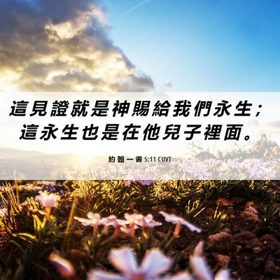 Picture 06 - 約 翰 一 書 5:11 CUVT - 這 見 證 就 是 神 賜 給 我 們 永 生 - Bible Verse Picture