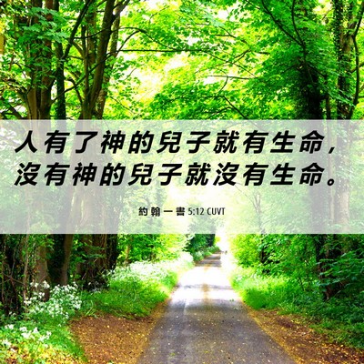 Picture 06 - 約 翰 一 書 5:12 CUVT - 人 有 了 神 的 兒 子 就 有 生 命 ， - Bible Verse Picture