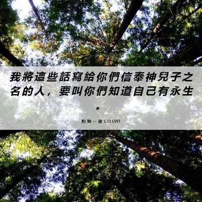 Picture 06 - 約 翰 一 書 5:13 CUVT - 我 將 這 些 話 寫 給 你 們 信 奉 神 - Bible Verse Picture