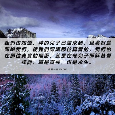 Picture 06 - 約 翰 一 書 5:20 CUVT - 我 們 也 知 道 ， 神 的 兒 子 已 經 - Bible Verse Picture