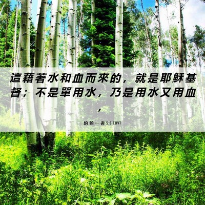 Picture 06 - 約 翰 一 書 5:6 CUVT - 這 藉 著 水 和 血 而 來 的 ， 就 是 - Bible Verse Picture