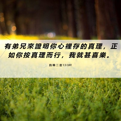Picture 06 - 約 翰 三 書 1:3 CUVT - 有 弟 兄 來 證 明 你 心 裡 存 的 真 - Bible Verse Picture