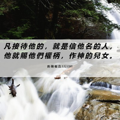 Picture 06 - 約 翰 福 音 1:12 CUVT - 凡 接 待 他 的 ， 就 是 信 他 名 的 - Bible Verse Picture