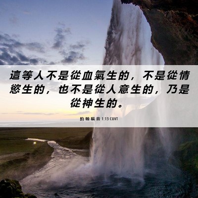 Picture 06 - 約 翰 福 音 1:13 CUVT - 這 等 人 不 是 從 血 氣 生 的 ， 不 - Bible Verse Picture