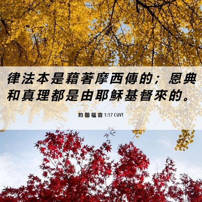 Picture 06 - 約 翰 福 音 1:17 CUVT - 律 法 本 是 藉 著 摩 西 傳 的 ； 恩 - Bible Verse Picture
