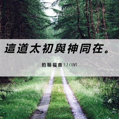 Picture 06 - 約 翰 福 音 1:2 CUVT - 這 道 太 初 與 神 同 在 - Bible Verse Picture