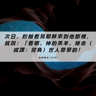 Picture 06 - 約 翰 福 音 1:29 CUVT - 次 日 ， 約 翰 看 見 耶 穌 來 到 他 - Bible Verse Picture
