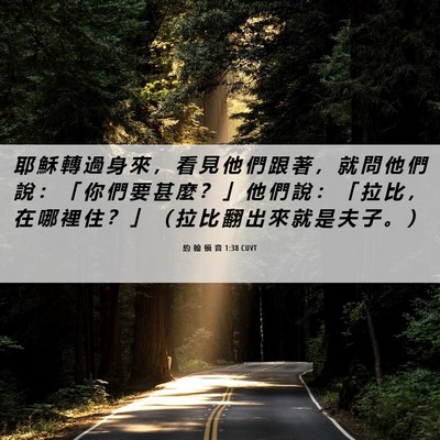 Picture 06 - 約 翰 福 音 1:38 CUVT - 耶 穌 轉 過 身 來 ， 看 見 他 們 跟 - Bible Verse Picture