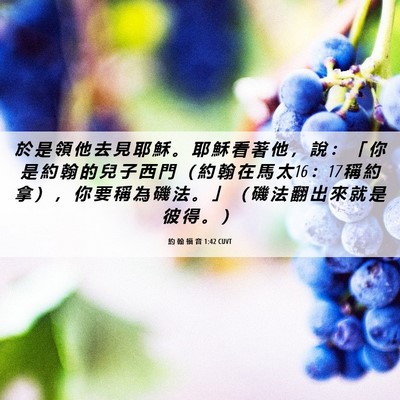 Picture 06 - 約 翰 福 音 1:42 CUVT - 於 是 領 他 去 見 耶 穌 。 耶 穌 看 - Bible Verse Picture