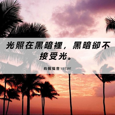 Picture 06 - 約 翰 福 音 1:5 CUVT - 光 照 在 黑 暗 裡 ， 黑 暗 卻 不 接 - Bible Verse Picture