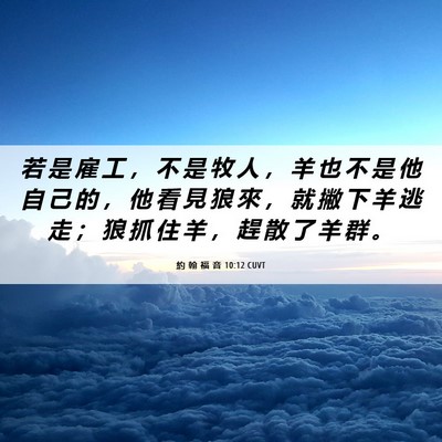 Picture 06 - 約 翰 福 音 10:12 CUVT - 若 是 雇 工 ， 不 是 牧 人 ， 羊 也 - Bible Verse Picture
