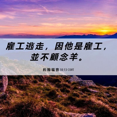 Picture 06 - 約 翰 福 音 10:13 CUVT - 雇 工 逃 走 ， 因 他 是 雇 工 ， 並 - Bible Verse Picture