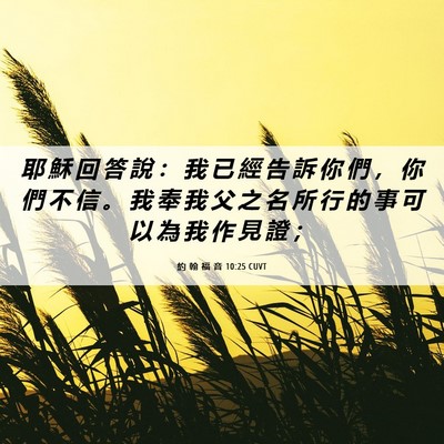Picture 06 - 約 翰 福 音 10:25 CUVT - 耶 穌 回 答 說 ： 我 已 經 告 訴 你 - Bible Verse Picture