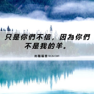 Picture 06 - 約 翰 福 音 10:26 CUVT - 只 是 你 們 不 信 ， 因 為 你 們 不 - Bible Verse Picture