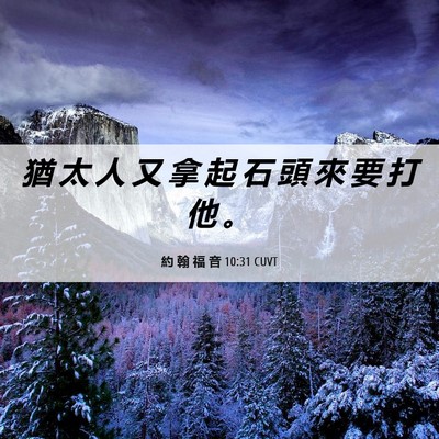 Picture 06 - 約 翰 福 音 10:31 CUVT - 猶 太 人 又 拿 起 石 頭 來 要 打 他 - Bible Verse Picture