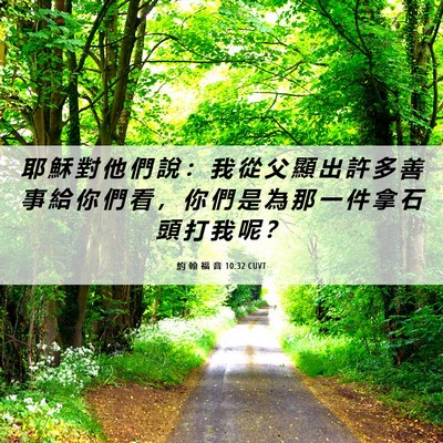 Picture 06 - 約 翰 福 音 10:32 CUVT - 耶 穌 對 他 們 說 ： 我 從 父 顯 出 - Bible Verse Picture