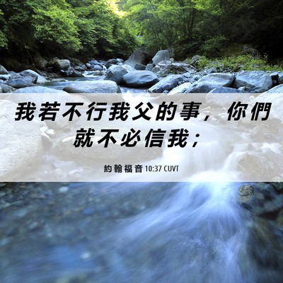 Picture 06 - 約 翰 福 音 10:37 CUVT - 我 若 不 行 我 父 的 事 ， 你 們 就 - Bible Verse Picture