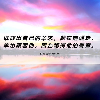 Picture 06 - 約 翰 福 音 10:4 CUVT - 既 放 出 自 己 的 羊 來 ， 就 在 前 - Bible Verse Picture