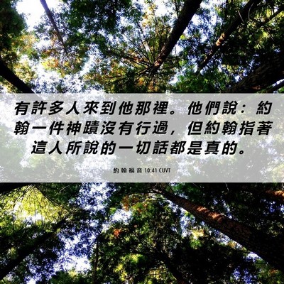 Picture 06 - 約 翰 福 音 10:41 CUVT - 有 許 多 人 來 到 他 那 裡 。 他 們 - Bible Verse Picture