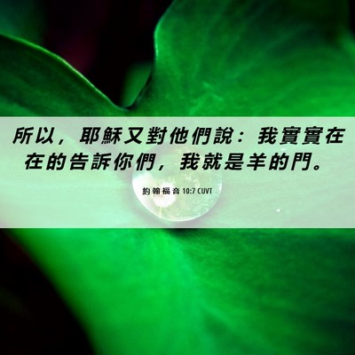 Picture 06 - 約 翰 福 音 10:7 CUVT - 所 以 ， 耶 穌 又 對 他 們 說 ： 我 - Bible Verse Picture