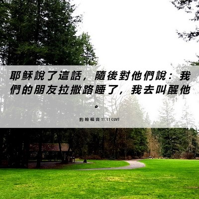 Picture 06 - 約 翰 福 音 11:11 CUVT - 耶 穌 說 了 這 話 ， 隨 後 對 他 們 - Bible Verse Picture