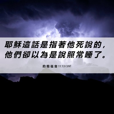 Picture 06 - 約 翰 福 音 11:13 CUVT - 耶 穌 這 話 是 指 著 他 死 說 的 ， - Bible Verse Picture