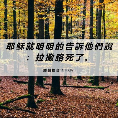 Picture 06 - 約 翰 福 音 11:14 CUVT - 耶 穌 就 明 明 的 告 訴 他 們 說 ： - Bible Verse Picture