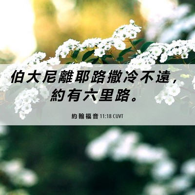 Picture 06 - 約 翰 福 音 11:18 CUVT - 伯 大 尼 離 耶 路 撒 冷 不 遠 ， 約 - Bible Verse Picture