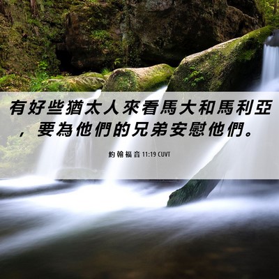 Picture 06 - 約 翰 福 音 11:19 CUVT - 有 好 些 猶 太 人 來 看 馬 大 和 馬 - Bible Verse Picture