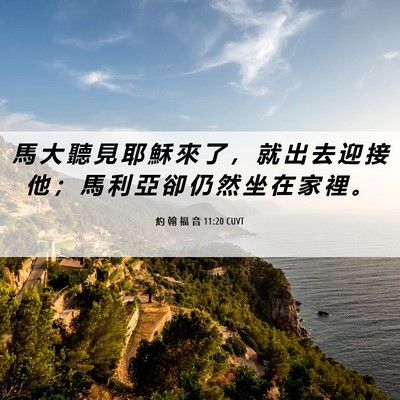 Picture 06 - 約 翰 福 音 11:20 CUVT - 馬 大 聽 見 耶 穌 來 了 ， 就 出 去 - Bible Verse Picture