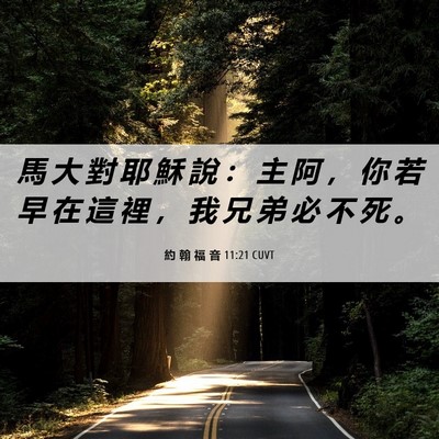 Picture 06 - 約 翰 福 音 11:21 CUVT - 馬 大 對 耶 穌 說 ： 主 阿 ， 你 若 - Bible Verse Picture