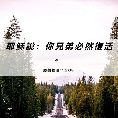 Picture 06 - 約 翰 福 音 11:23 CUVT - 耶 穌 說 ： 你 兄 弟 必 然 復 活 - Bible Verse Picture
