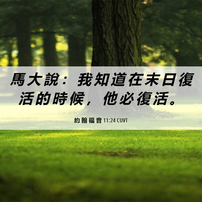Picture 06 - 約 翰 福 音 11:24 CUVT - 馬 大 說 ： 我 知 道 在 末 日 復 活 - Bible Verse Picture